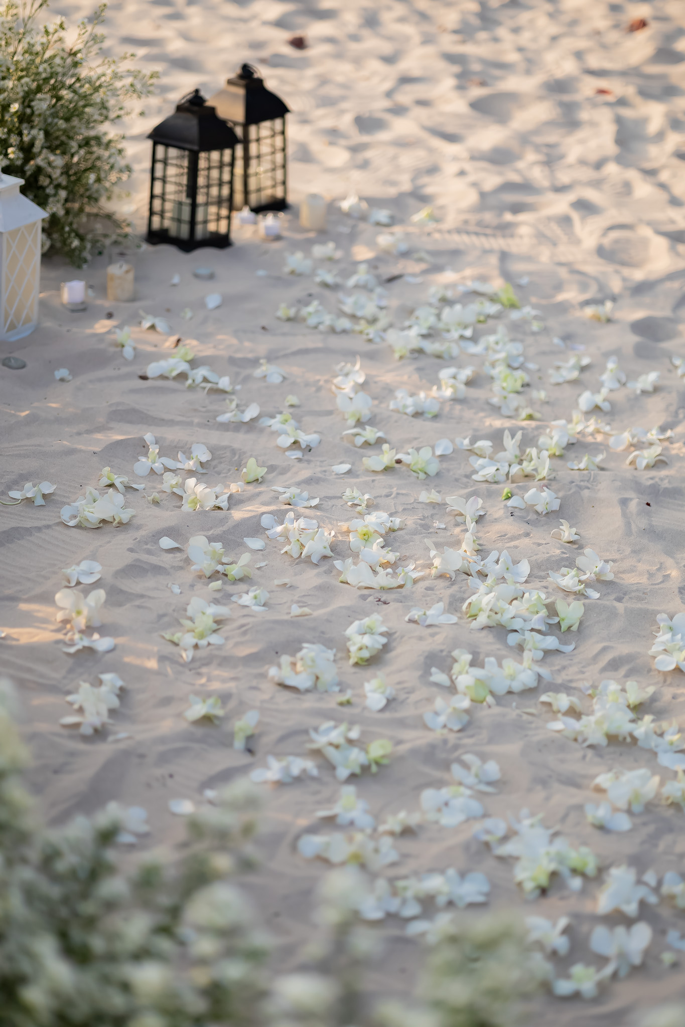 12 - https://themomentofloveth.com | The Moment of Love - Beach Wedding Specialist in Krabi | Stay in Beutiful moment